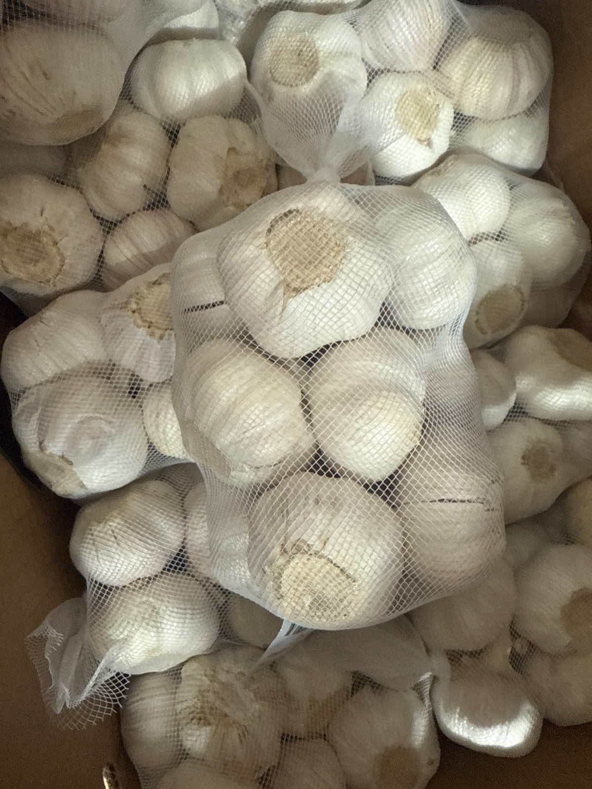 Knoflook 500 g