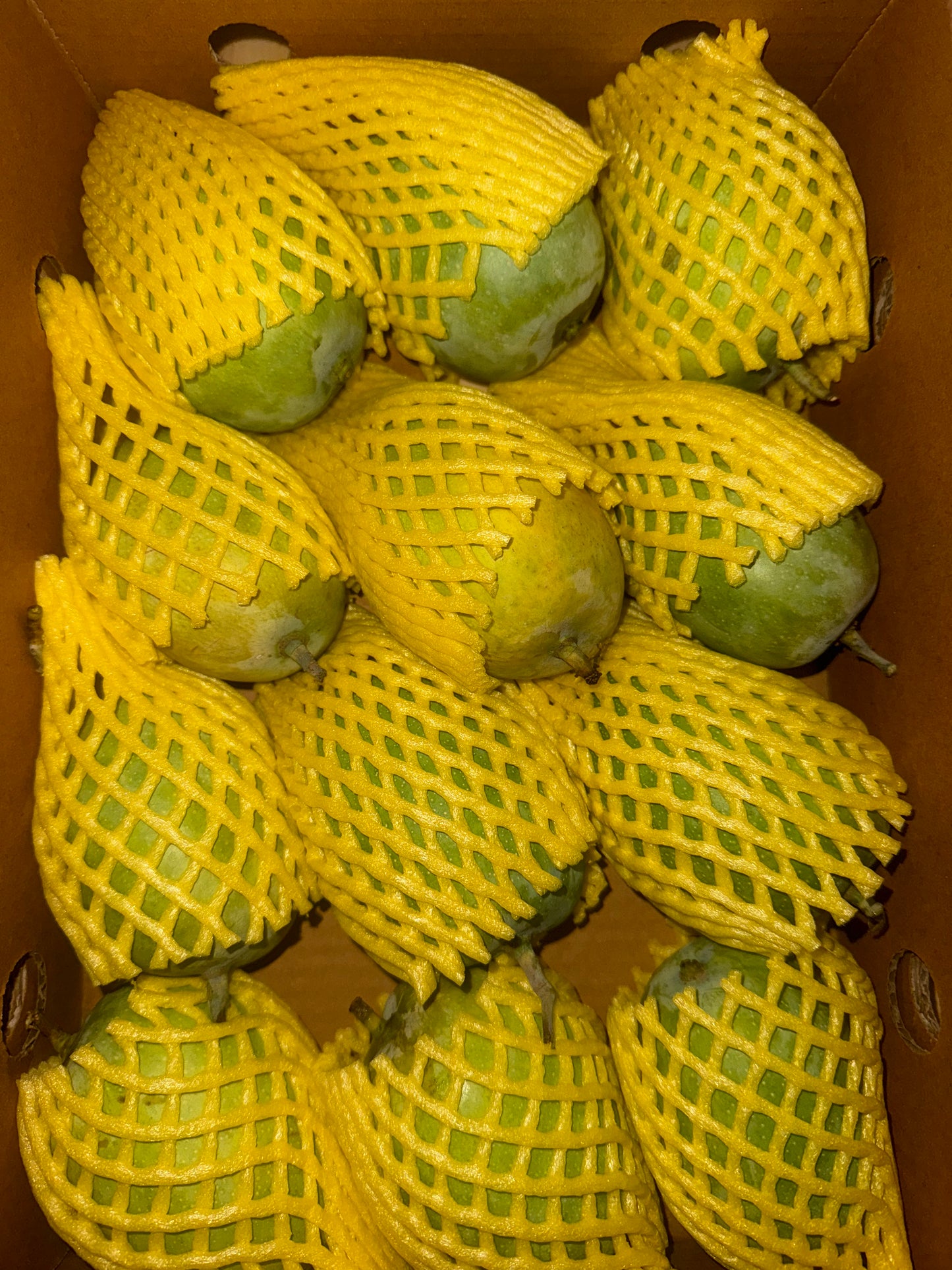 Kesar mango 500g