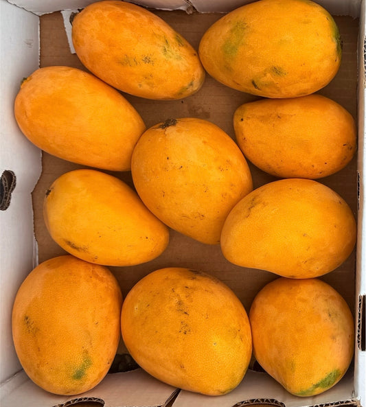 Mango 500G