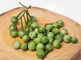Solanum torvum 500g (sundaikai)