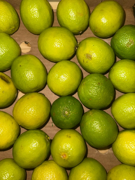 Lemon 4st